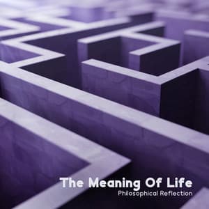 The Meaning Of Life: Philosophical Reflection - Humanity United