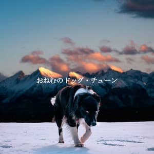 おねむのドッグ・チューン - Chill Jazz