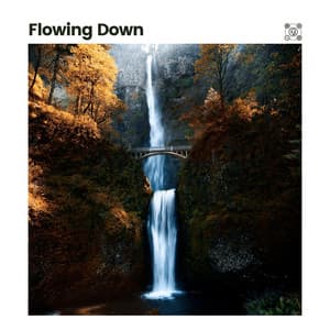 Flowing Down - Waterfalling