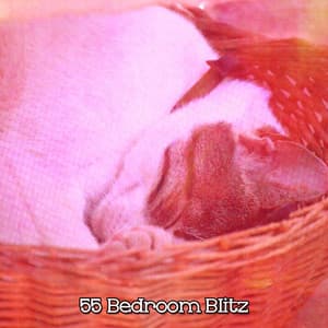 55 Bedroom Blitz - Hypnosis