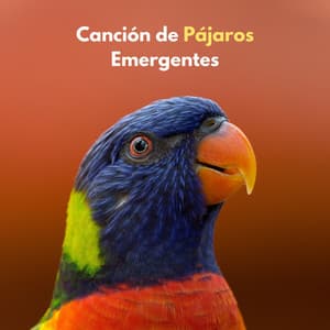 Canción De Pájaros Emergentes - Sonidos Naturales del Pajaro