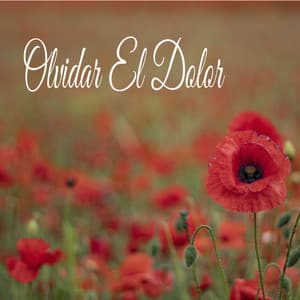 Olvidar El Dolor - Música Relajante