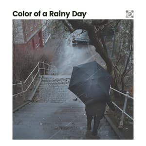 Color of a Rainy Day - Rain Drops for Sleep