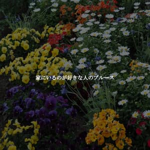 家にいるのが好きな人のブルース - Soothing Classic Bossa Nova