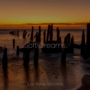 Soft Dreams - Forest Sounds