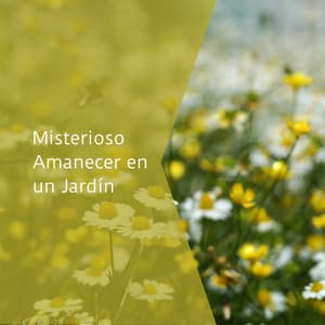 Misterioso Amanecer en un Jardín - La Naturaleza Del Sueño