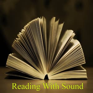Reading With Sound - White Noise Research