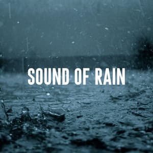 Sound of Rain - Nature Sounds Lab