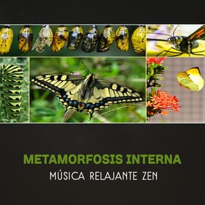 Metamorfosis Interna - Música Relajante Zen, Técnicas de Meditación Academia, Guiada Para Transformación Personal - Calmante Zona de Spa