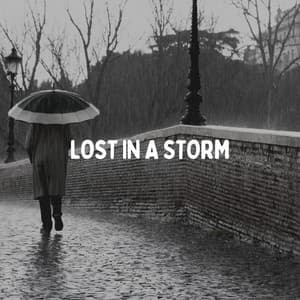 Lost in a Storm - Rainfall Place