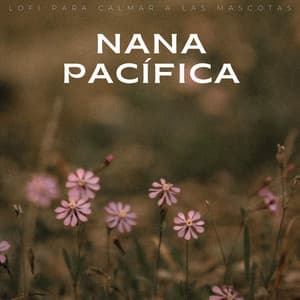 Nana Pacífica: Lofi Para Calmar A Las Mascotas - Colores de la ciudad de Lofi