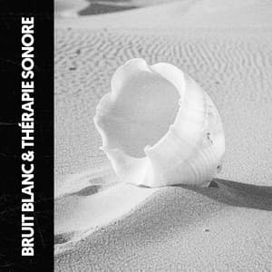 Bruit Blanc & Sonothérapie: Méditer avec le Bruit - Ruido Blanco Hart