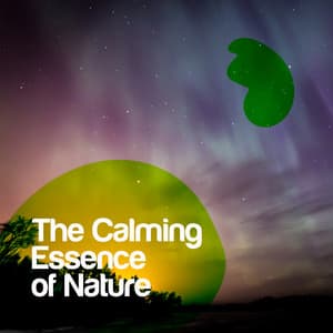 The Calming Essence of Nature - Bruits naturels
