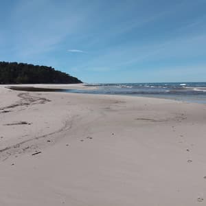 Seagulls on the Beach - Cozy Coffee Shop