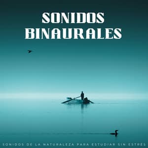 Sonidos Binaurales: Sonidos De La Naturaleza Para Estudiar Sin Estrés - Tonos de estudio Binaural Beats