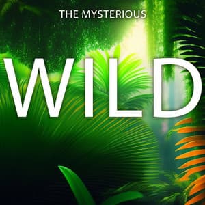 The Mysterious Wild: Free Spirit Meditation, Shamanic Mind - Shamanic Drumming Consort