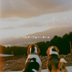 パウズ・フォー・カーム - Trabajar desde Casa Background Musica