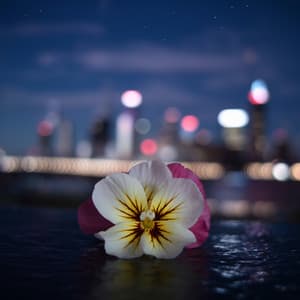 Axiom - Chillout Paramount