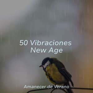 50 Vibraciones New Age - Musica romantica instrumental