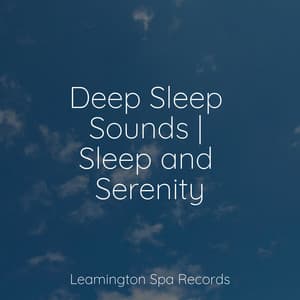Deep Sleep Sounds | Sleep and Serenity - Raindrops Sleep