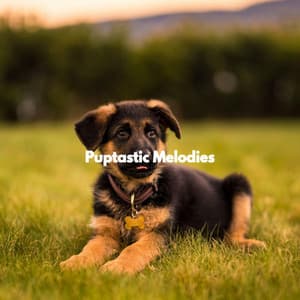 Puptastic Melodies - Musica Relajante para Perros Momentos