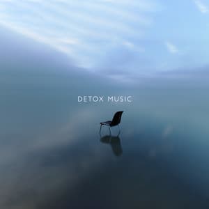 Detox Music: Calm Your Thoughts, Listen to Nature, Stop Overthinking, Rest and Relaxation - Mindfullness Meditation World