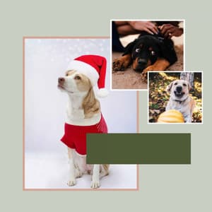 Ambiance for Sweet Pups - Dog Music Waves