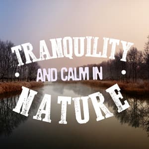 Tranqulity and Calm in Nature - Tranquil Music Sounds of Nature