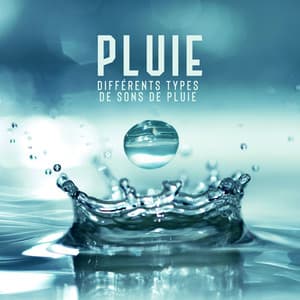 Pluie: Différents types de sons de pluie, Plus d'une heure de tonalités relaxantes - Oasis Des Bruits Naturels