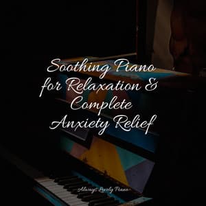 50 Piano Tunes for Tranquility - Tranquil Music Sound of Nature