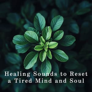 Healing Sounds to Reset a Tired Mind and Soul - Dream House