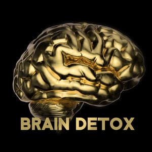 Brain Detox: Vibrations and Meditation for Cleansing - John Pure