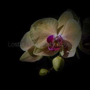 Lost in the Misty Abyss - Cosmic Thought