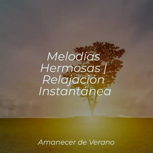 Melodías Hermosas | Relajación Instantánea - Sonidos De Truenos y Lluvia