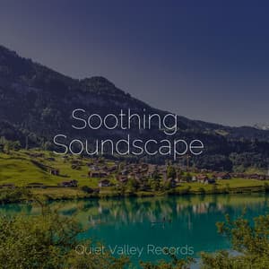Soothing Soundscapes - Rain Shower Spa