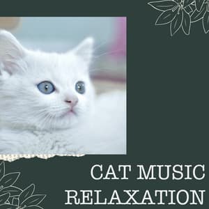 Cat Music Relaxation - Cat Music Relaxation