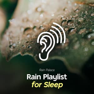 Rain Playlist for Sleep - Rain Palace