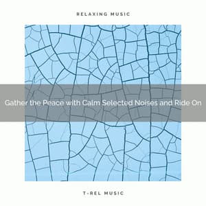 2020 Best: Gather the Peace with Calm Selected Noises and Ride On - Rain Noise Sleep