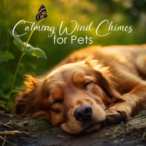 Calming Wind Chimes for Pets - Calm Pets Music Academy