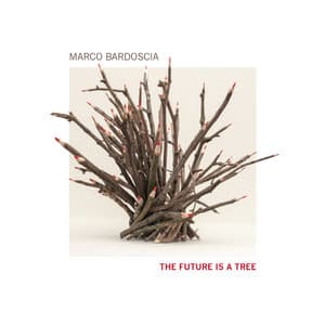 The Future Is a Tree - Marco Bardoscia