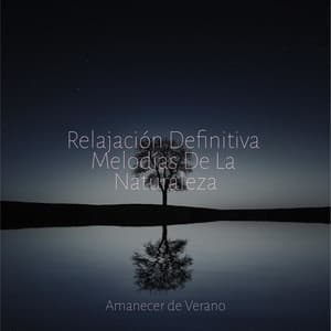 Relajación Definitiva Melodías De La Naturaleza - Música relajante con sonidos de la naturaleza