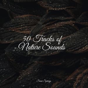 50 Tracks of Nature Sounds - Water Sound Natural White Noise