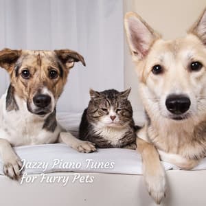 Jazzy Piano Tunes for Furry Pets - Vintage Cafe Vintage