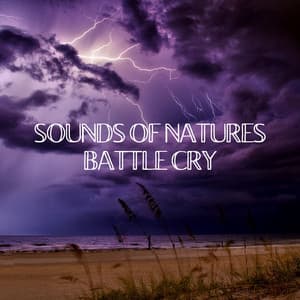 Sounds of Natures Battle Cry - Natural Rain Sounds for Sleeping