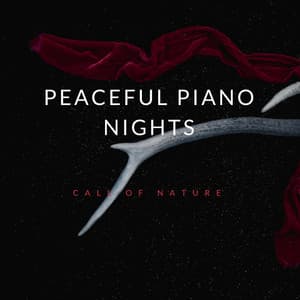 Peaceful Piano Nights - Call Of Nature