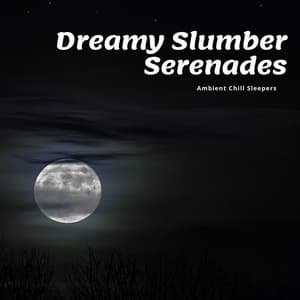 Dreamy Slumber Serenades - Ambient Chill Sleepers
