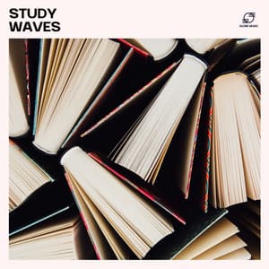 Study Waves - Office Music Experts