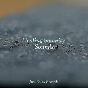 Healing Serenity Sounds - Easy Sleep Music