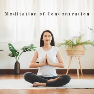 Meditation of Concentration. Delicate New Age Music that Allows You to Fight Distraction - Relaxing Distraction Therapy Zone