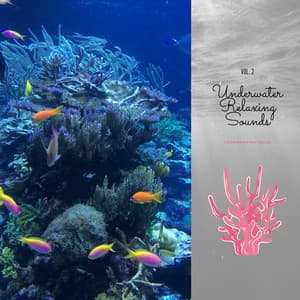 Underwater Relaxing Sounds Vol. 2 - Goodmorning Relax